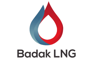 Badak_NGL_new_logo_(since_2018).svg